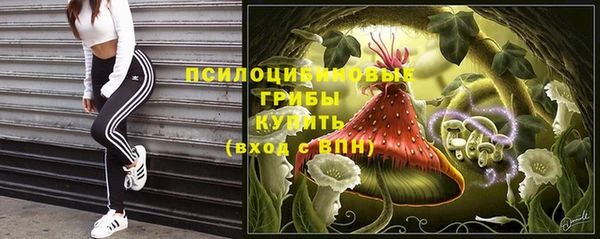 марки nbome Бородино