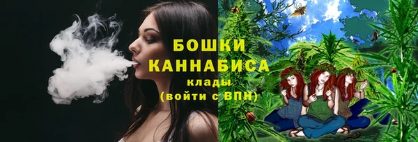 соль ск Богородск