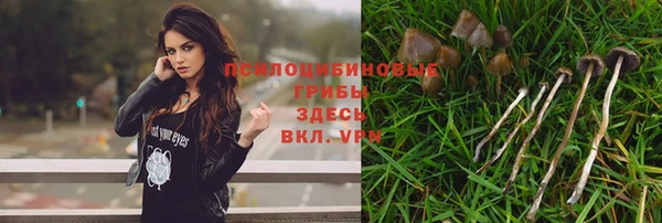 скорость Богданович